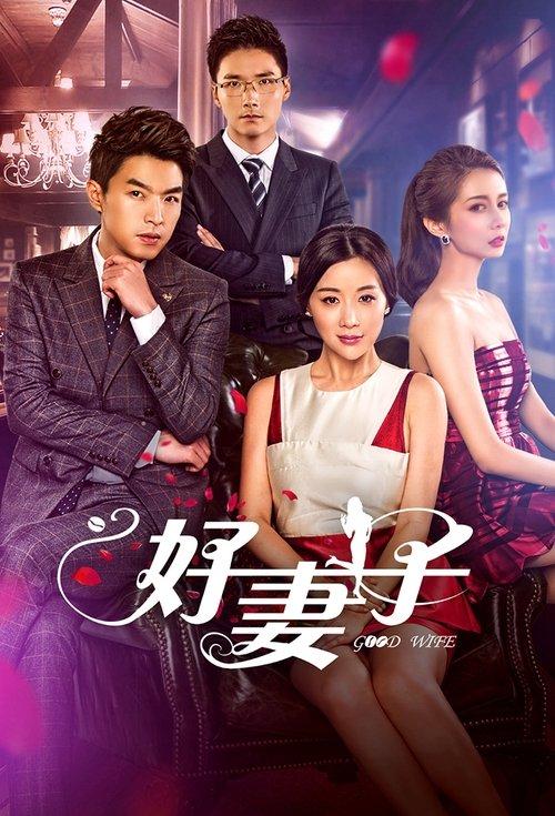 Good Wife poster