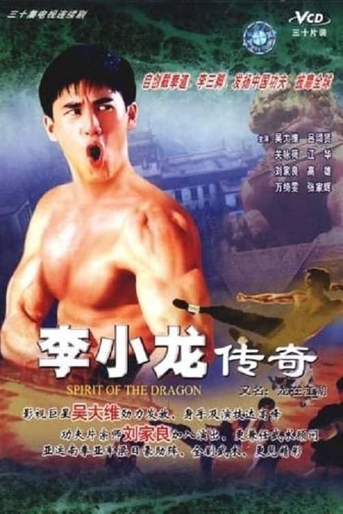 Story Of Bruce Lee poster