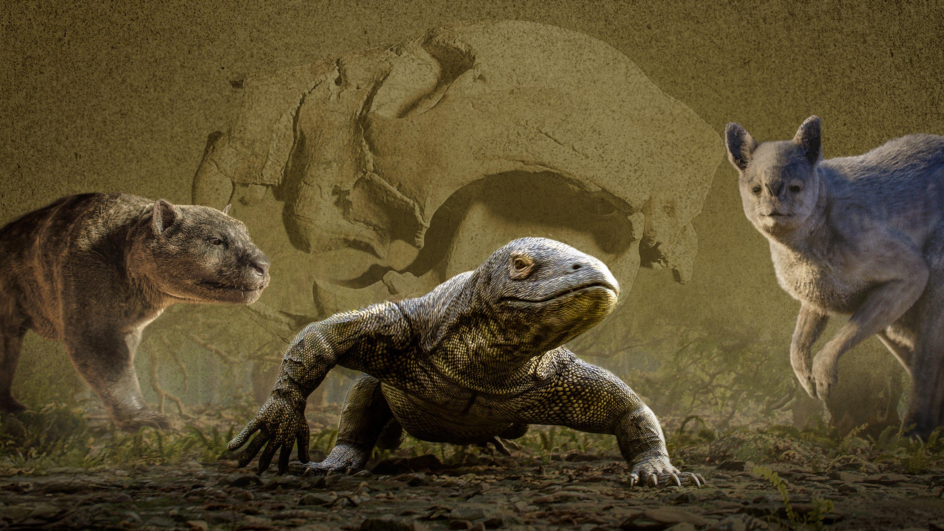 Megafauna: What Killed Australia's Giants? backdrop