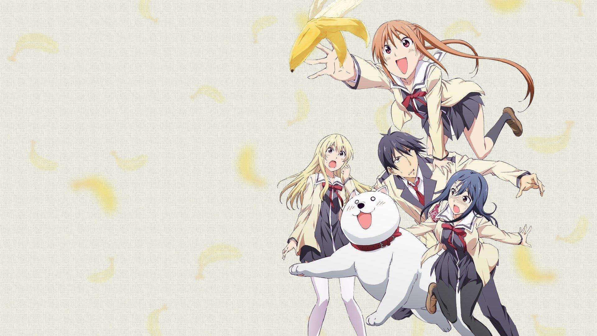 AHO-GIRL backdrop