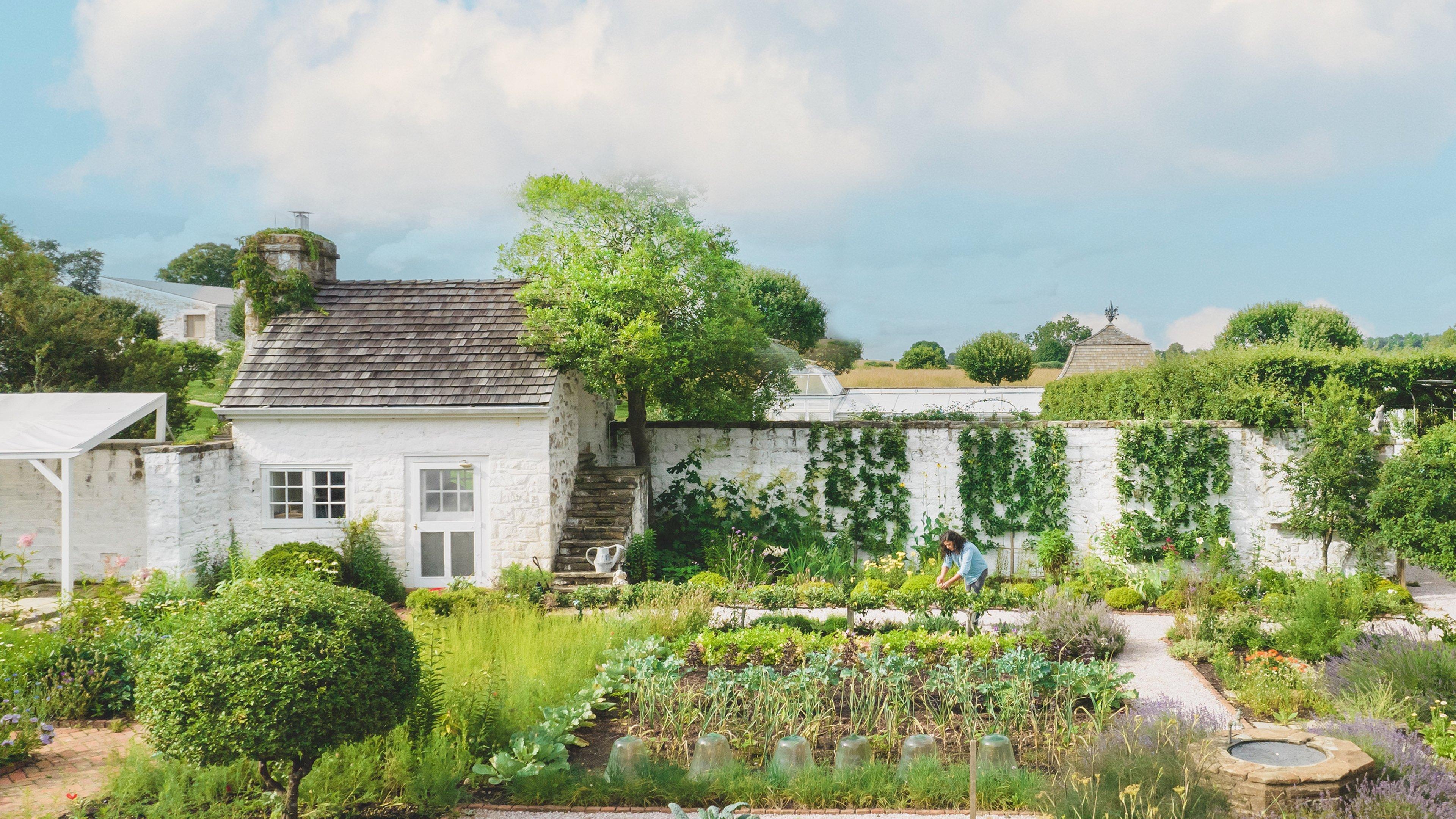 The Garden Chronicles backdrop