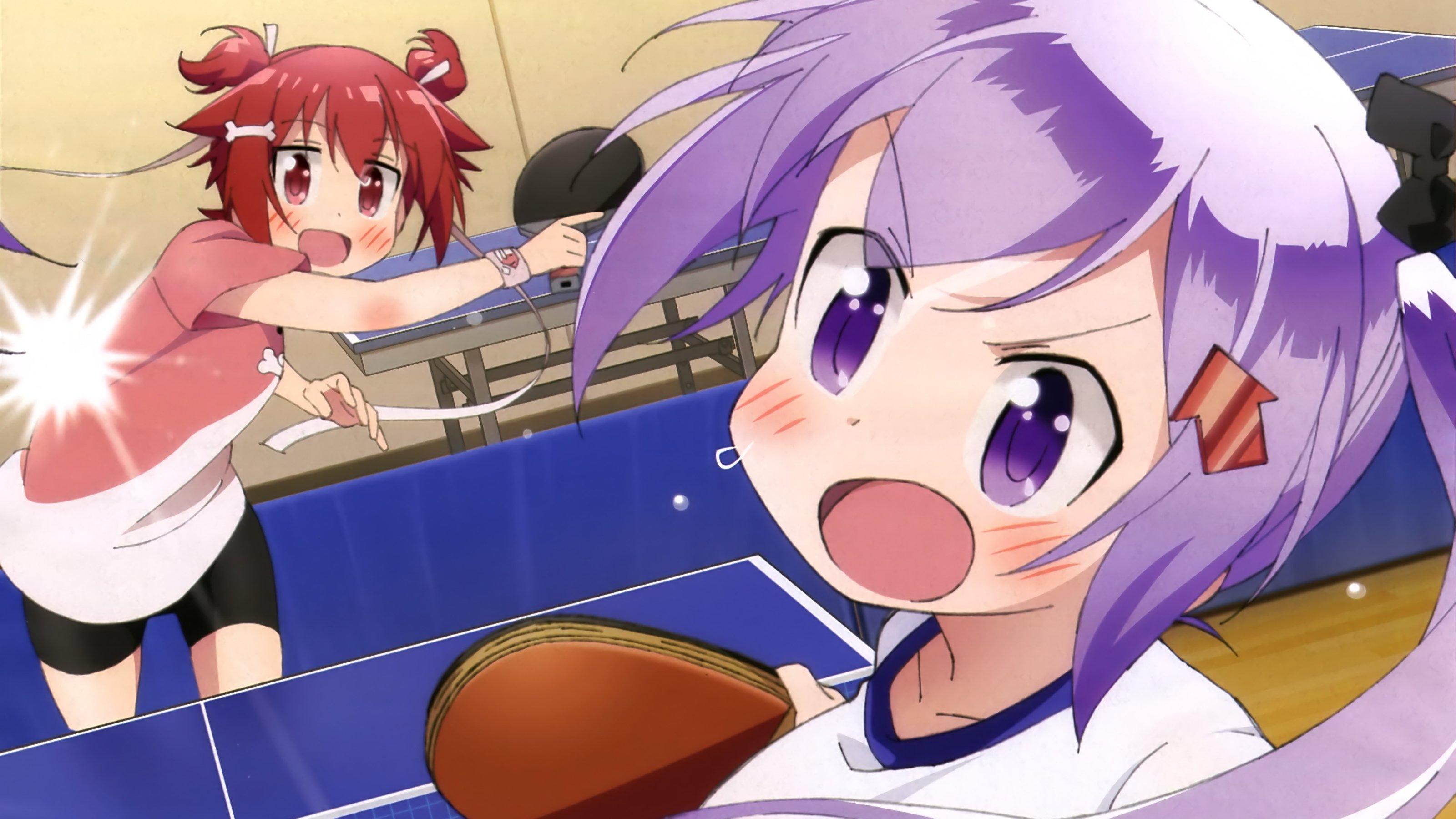 Scorching Ping Pong Girls backdrop