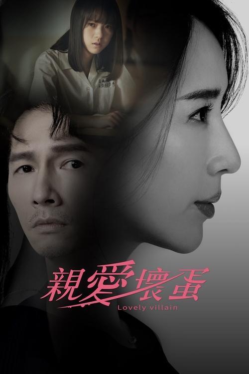 Lovely Villain poster