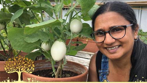 Gardeners' World Season 56 Episode 10 - Episode 10