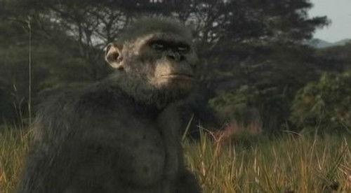 NOVA Season 37 Episode 4 - Becoming Human: First Steps