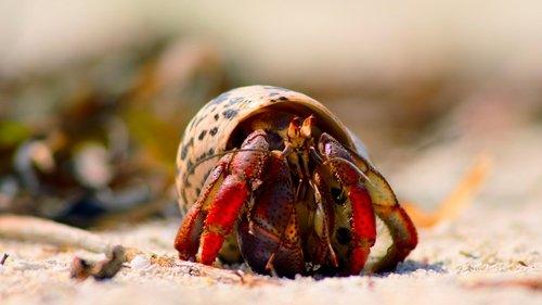 Tiny World Season 1 Episode 3 - Island