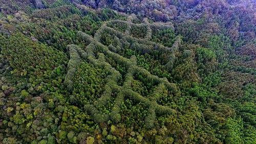 What on Earth? Season 3 Episode 19 - Forbidden Cities of the Maya