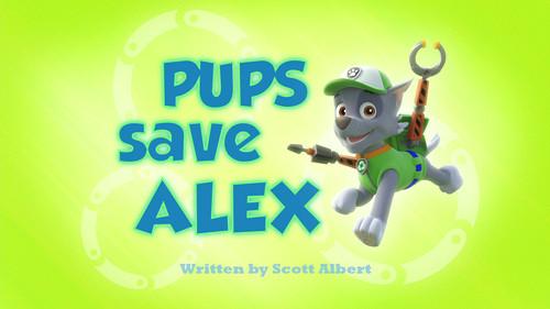 undefined Season 1 Episode 22 - Pups Save Alex