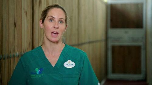 Magic of Disney's Animal Kingdom Season 2 Episode 6 - Flocks of Love