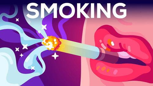 Kurzgesagt - In a Nutshell Season 12 Episode 6 - Smoking is Awesome