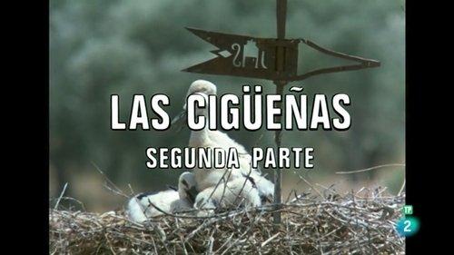 El hombre y la Tierra Season 2 Episode 10 - Episode 10