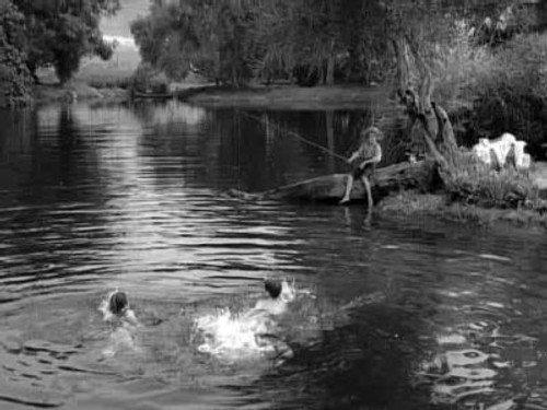 undefined Season 5 Episode 36 - The Bewitchin' Pool