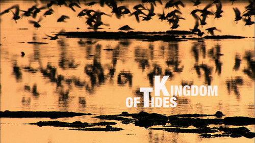 Water Life Season 1 Episode 15 - Kingdom of Tides