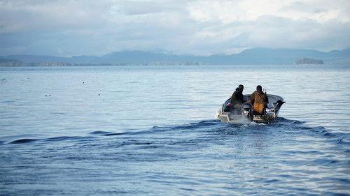 Background image for Legends In The Woods