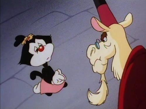 Animaniacs Season 1 Episode 20 - Wally Llama