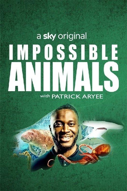 Impossible Animals poster