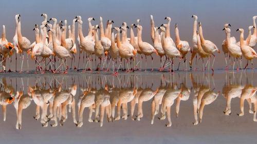 The Americas Season 1 Episode 7 - Andes