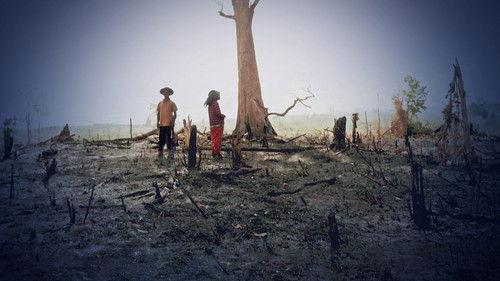 Panorama Season 72 Episode 15 - Big Brands’ Green Claims Uncovered