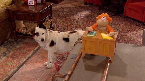 Dog with a Blog Season 2 Episode 19 - Stuck in the Mini with You