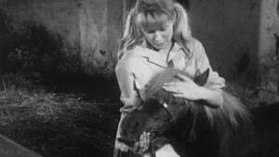 Poly Season 2 Episode 1 - Episode 1