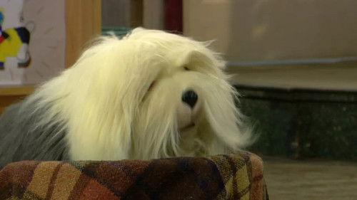 Samson & Gert Season 14 Episode 8 - De schat van de Farao