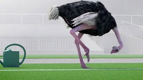 Athleticus Season 1 Episode 10 - Episode 10