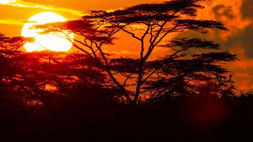 Waterhole: Africa's Animal Oasis Season 1 Episode 2 - Episode 2