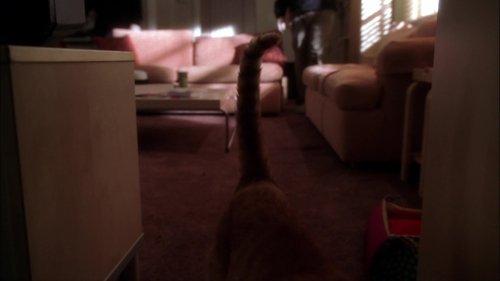 NCIS Season 3 Episode 20 - Untouchable