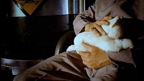 Scrapheap Challenge Season 7 Episode 8 - Spy Cars