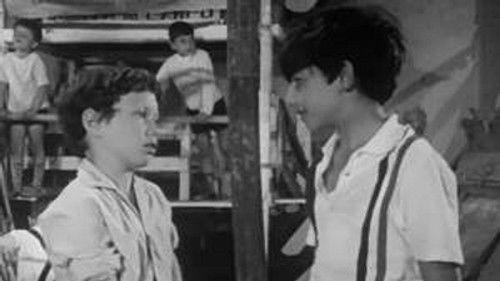 Poly Season 4 Episode 3 - Episode 3