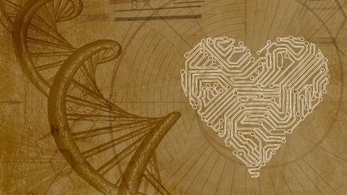 Background image for The Honeymoon Effect