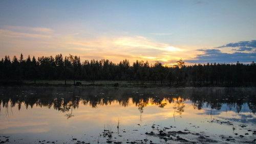 Europe's Great Wilderness Season 1 Episode 3 - Europe's Living Waters