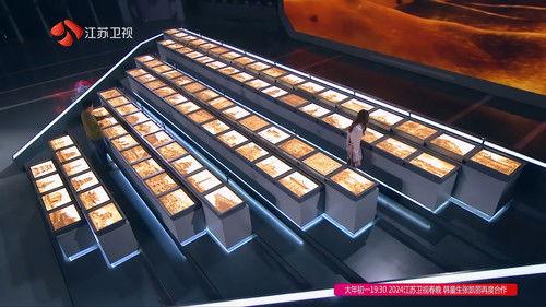 Super Brain Season 11 Episode 5 - Episode 5