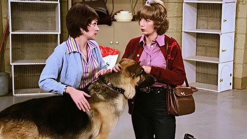 Laverne & Shirley Season 4 Episode 13 - It's a Dog's Life