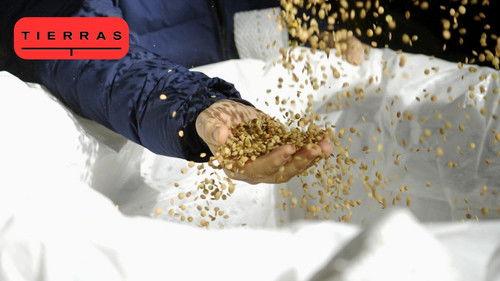 Proyecto Tierras Season 4 Episode 10 - Episode 10