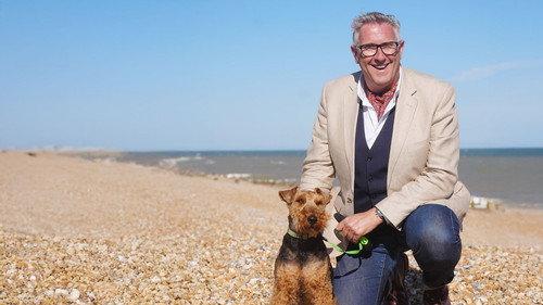 Dogs Behaving (Very) Badly Season 7 Episode 16 - What Happened Next?