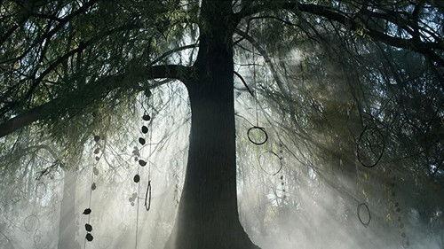 Donkerbos Season 1 Episode 8 - Let Them Sleep