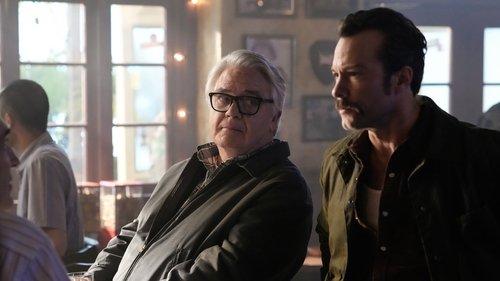 Background image for Bugs