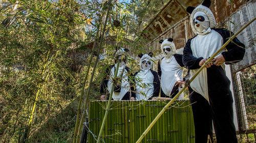 Earth: A New Wild Season 1 Episode 1 - Home