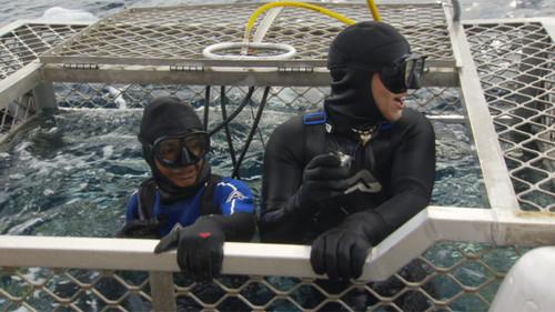 Bushwhacked! Season 1 Episode 6 - Great White Shark