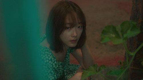 Mr. Plankton Season 1 Episode 4 - Episode 4