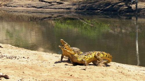 Animal Fight Night Season 6 Episode 5 - Enemy Within