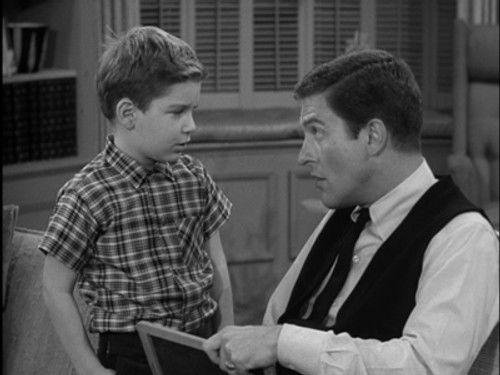The Dick Van Dyke Show Season 1 Episode 20 - A Word a Day