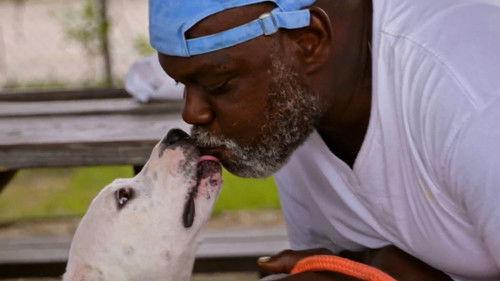 Pit Bulls and Parolees Season 17 Episode 2 - Life in a Cage