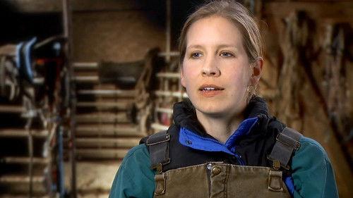 The Incredible Dr. Pol Season 13 Episode 9 - Meow-y Christmas