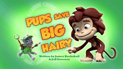 PAW Patrol Season 4 Episode 22 - Pups Save Big Hairy