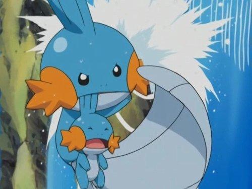 Pokémon Season 6 Episode 25 - A Mudkip Mission