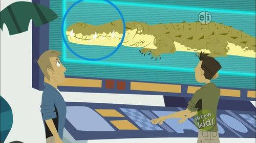 Wild Kratts Season 3 Episode 11 - Crocogator Contest