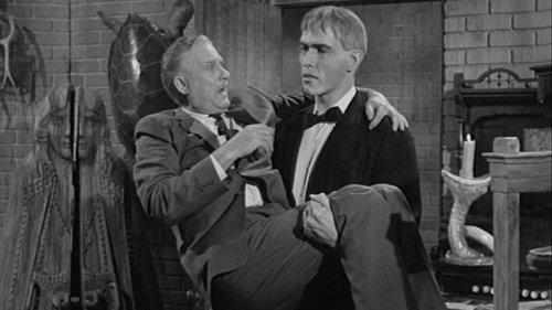 Background image for The Addams Family Meet the VIPs