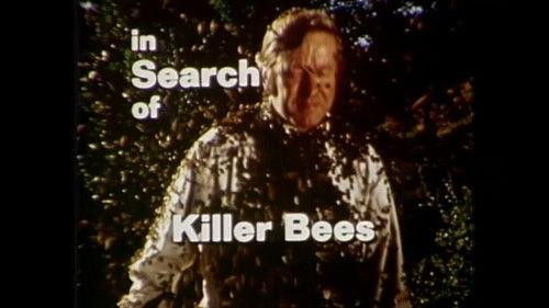 In Search of... Season 1 Episode 6 - Killer Bees